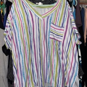 Striped Multicolor V-Neck Blouse